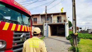 Ao subir em telhado para instalar internet, trabalhador é atacado por abelhas