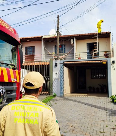 Imagem referente a Homem vai instalar antena de internet e é atacado por abelhas no Pioneiros Catarinenses