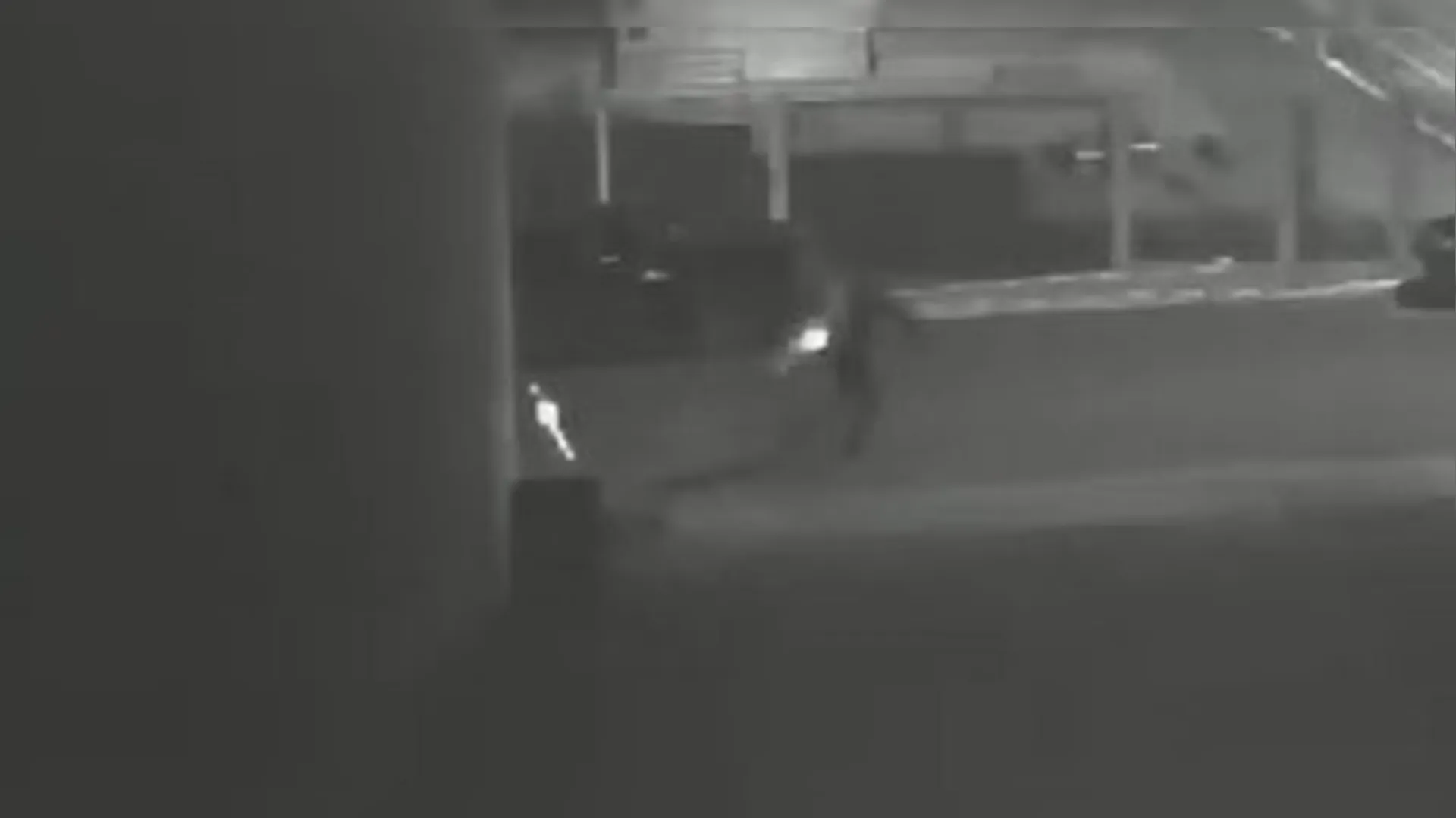 Vídeo mostra homem sendo perseguido e executado no meio da rua Vídeo mostra homem sendo perseguido e executado no meio da rua