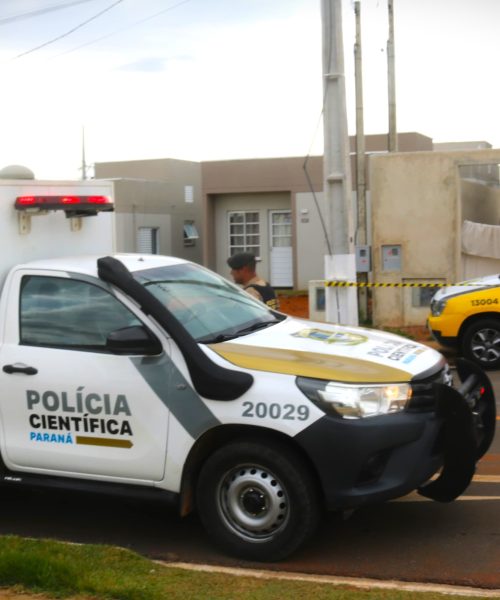 Imagem referente a Portão desaba sobre casal e mata idosa de 67 anos