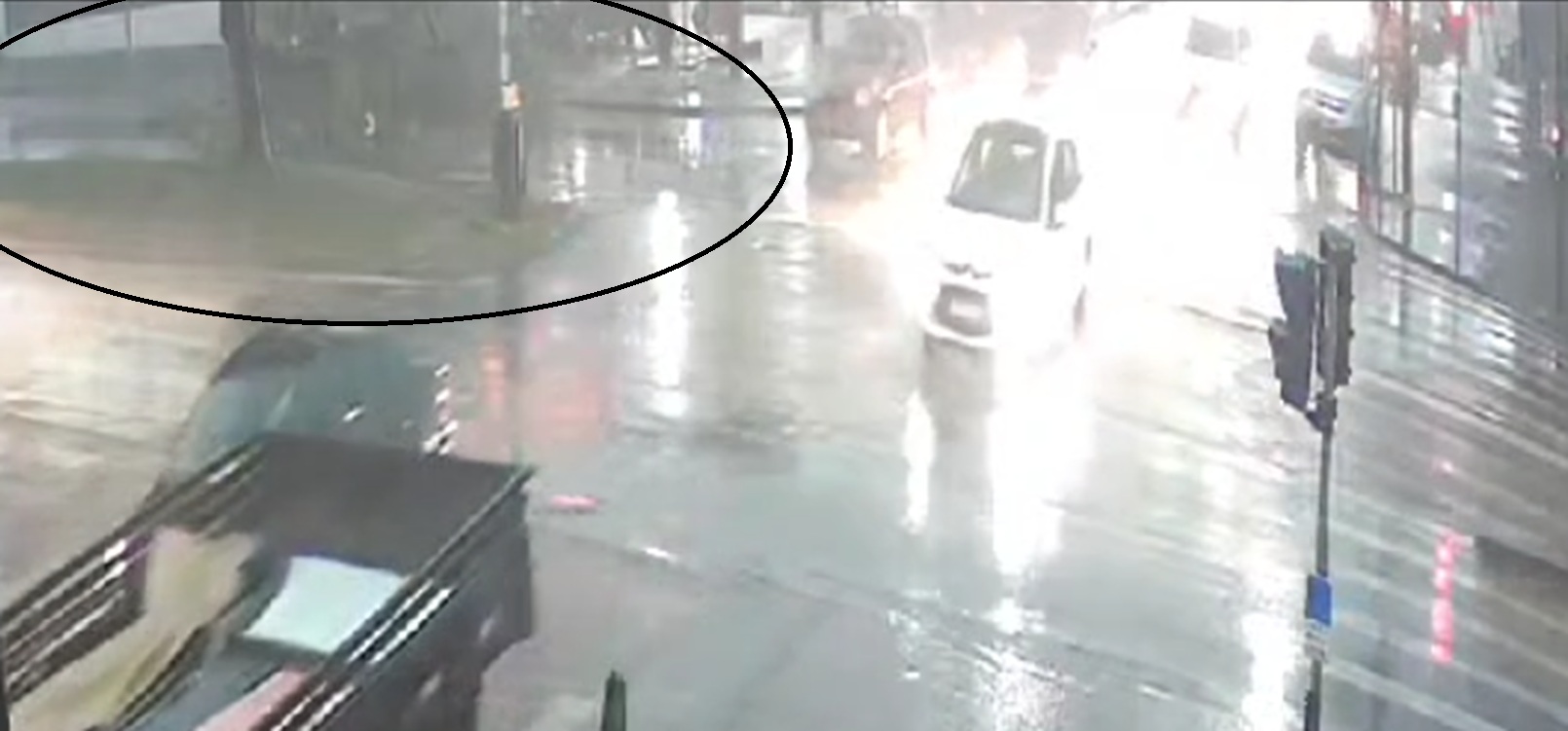 Veja o momento em que galho de árvore cai e quase atinge veículo na Avenida Assunção