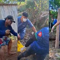 Imagem referente a Terminou o serviço: vídeo mostra homem sendo atacado e morto enquanto era socorrido