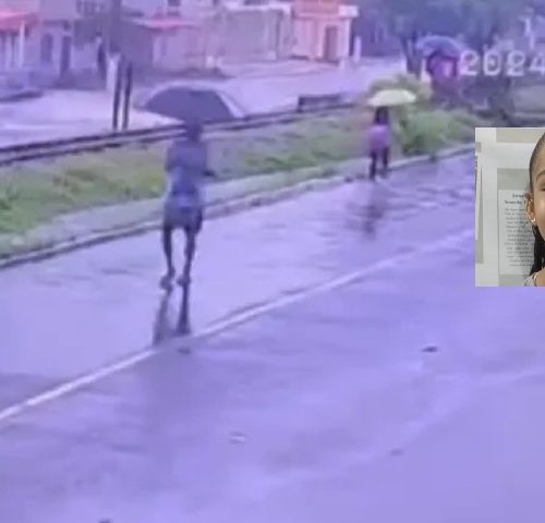 Imagem referente a Vídeo mostra momento em que criança desaparece ao ser sugada por bueiro durante chuva