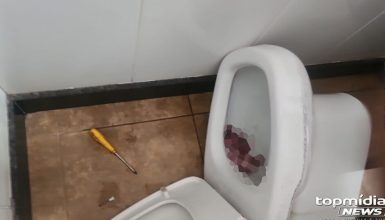 Imagem referente a Exame necroscópico e DNA podem revelar mãe de feto achado em sanitário de lanchonete