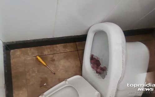 Imagem referente a Exame necroscópico e DNA podem revelar mãe de feto achado em sanitário de lanchonete