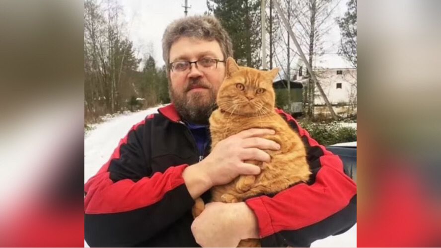 Homem sangra até a morte após ser atacado pelo próprio gato
