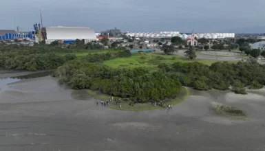 Imagem referente a Corpo de adolescente que desapareceu após se afogar em manguezal é encontrado