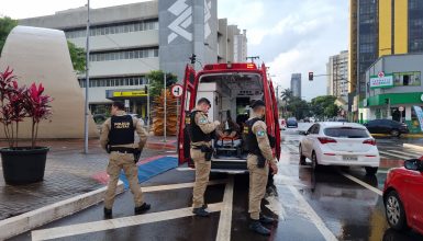 Imagem referente a Ciclista fica ferida ao sofrer queda na ciclovia na Avenida Brasil