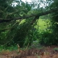 Imagem referente a Comunidade Jangadinha enfrenta crise de energia e cobra ação da Copel