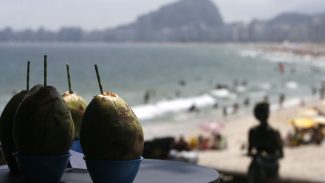 Temperatura elevada leva cidade do Rio ao Nível de Calor 2