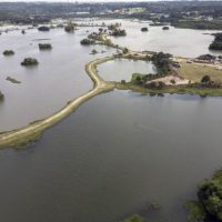 Imagem referente a Reserva Hídrica do Futuro já recuperou 300 hectares de área de várzea do Rio Iguaçu