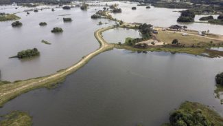 Reserva Hídrica do Futuro já recuperou 300 hectares de área de várzea do Rio Iguaçu