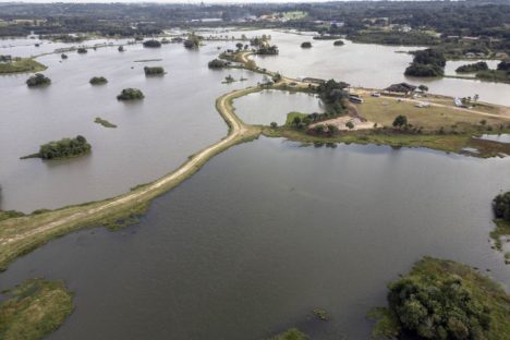 Imagem referente a Reserva Hídrica do Futuro já recuperou 300 hectares de área de várzea do Rio Iguaçu