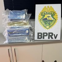 Imagem referente a Com auxílio de cão farejador, BPRv apreende maconha em ônibus