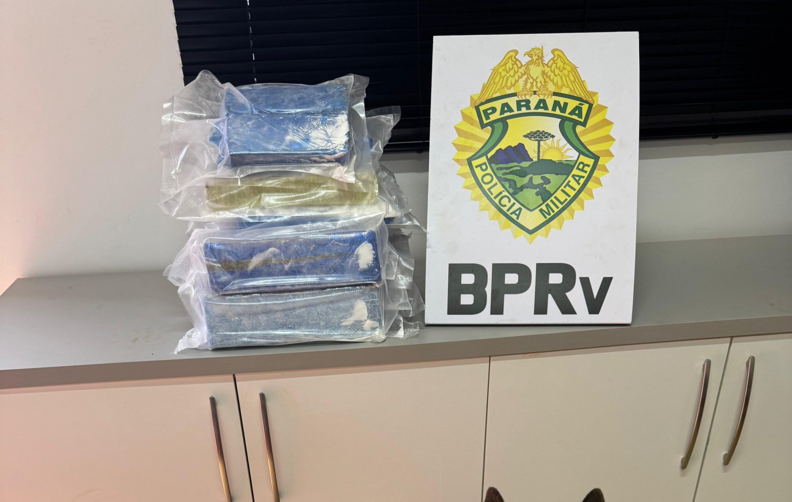 Com auxílio de cão farejador, BPRv apreende maconha em ônibus Com auxílio de cão farejador, BPRv apreende maconha em ônibus