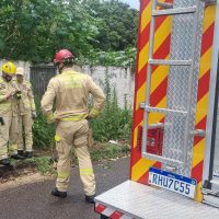 Imagem referente a Cachorro cai em bueiro e Bombeiros realizam resgate no Universitário