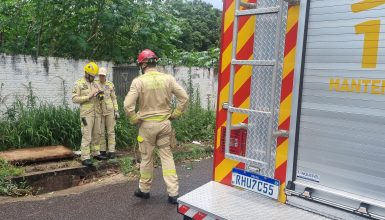 Imagem referente a Cachorro cai em bueiro e Bombeiros realizam resgate no Universitário