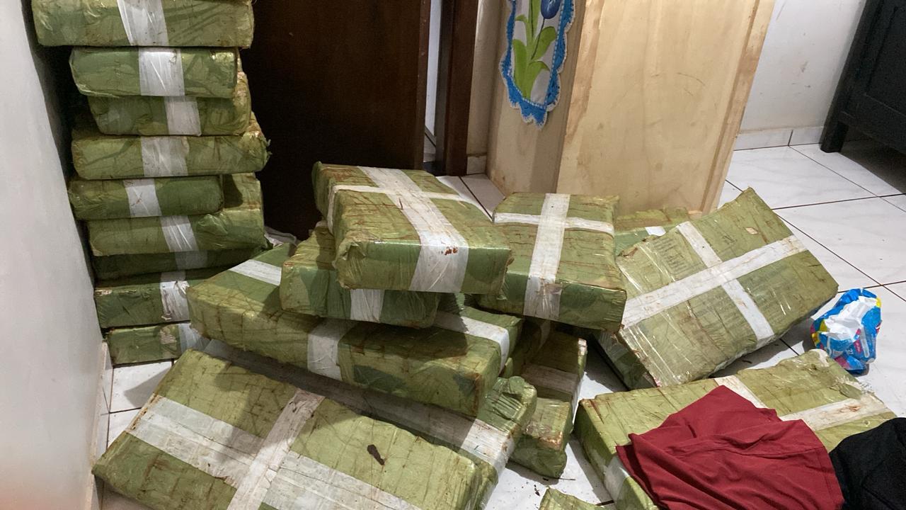 Cannabis Express: PF investiga rota de tráfico e cumpre mandados em Foz, Cascavel, Curitiba e até em SP