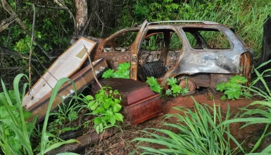 Imagem referente a Macabro: Caixões são encontrados às margens da rodovia PR-170