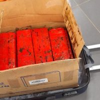 Imagem referente a Operação no Aeroporto de Foz do Iguaçu intercepta 40kg de maconha em malas de viagem