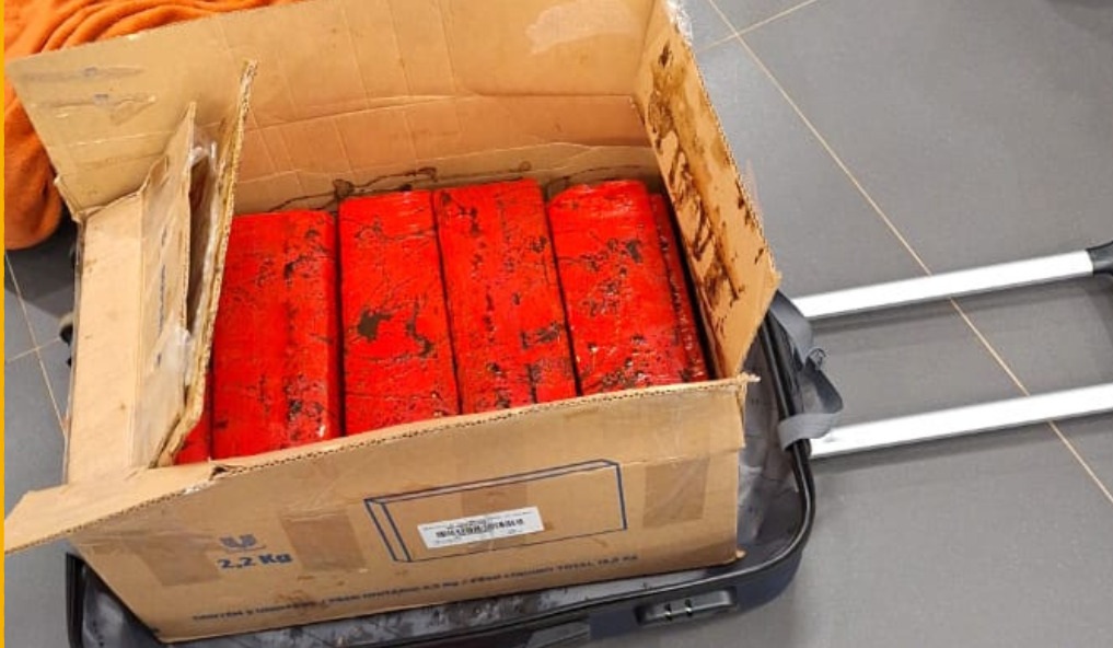 Operação no Aeroporto de Foz do Iguaçu intercepta 81kg de maconha em malas de viagem