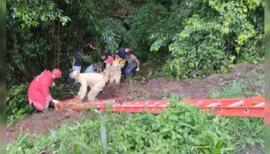 Imagem referente a Mulher de 38 anos sobrevive após caminhonete capotar e cair em barranco na BR-476