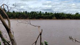 Licitação da nova ponte entre Japurá e São Carlos do Ivaí tem primeiro resultado