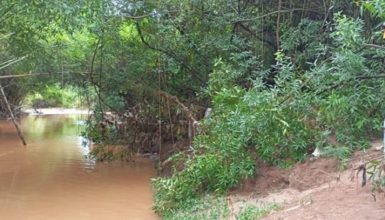 Imagem referente a Mãe e filho somem em enxurrada durante chuva forte e Bombeiros realizam buscas  