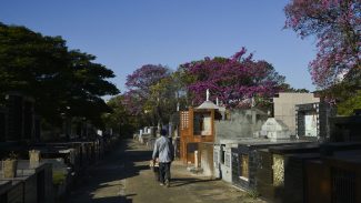 Audiência no STF discute preços cobrados em cemitérios de São Paulo