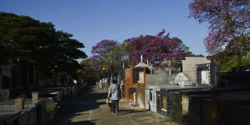 Imagem referente a Audiência no STF discute preços cobrados em cemitérios de São Paulo