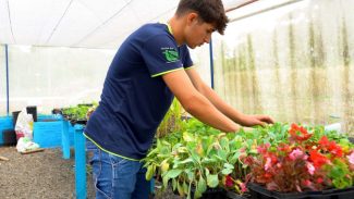 Do Paraná para os EUA: jovem quer mudar a história da família no Ganhando o Mundo Agrícola