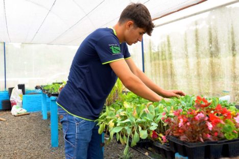 Imagem referente a Do Paraná para os EUA: jovem quer mudar a história da família no Ganhando o Mundo Agrícola