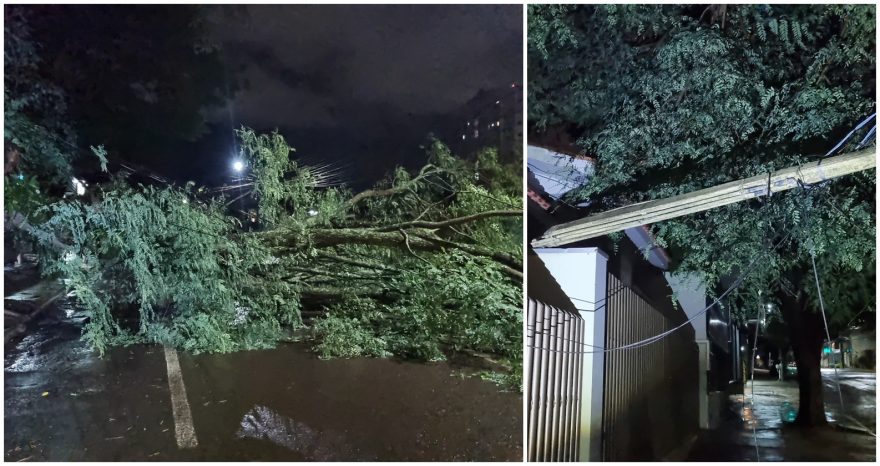 Árvore derruba padrão de energia e bloqueia rua no Jardim Independência