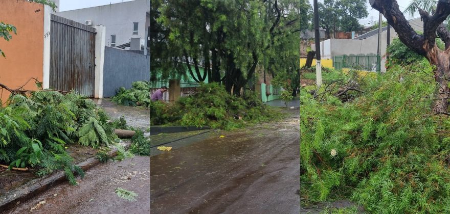 Emergência em Cascavel: Defesa Civil atende comunidade em meio a fortes chuvas