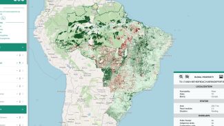 Brasil tem 95 milhões de hectares à espera de ações de restauração