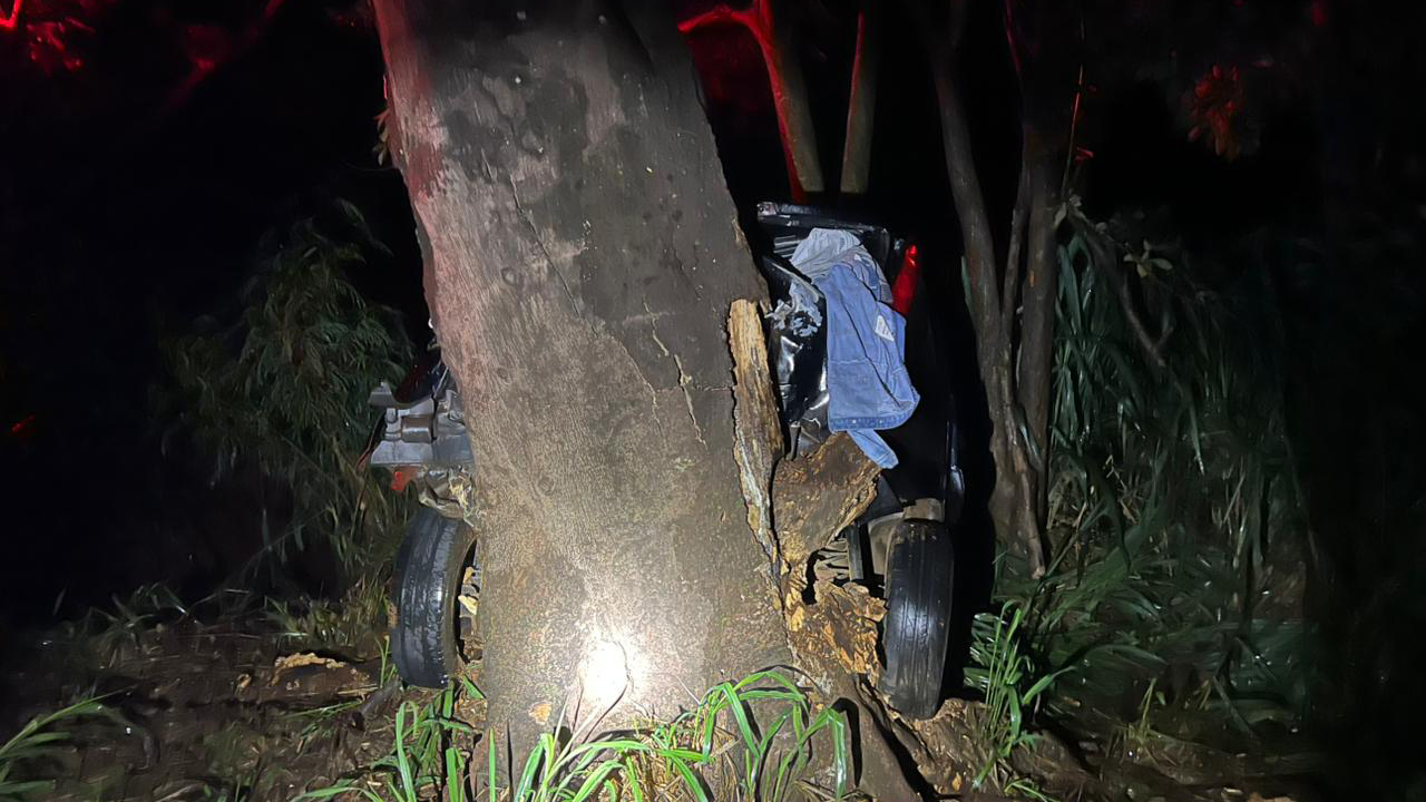 Acidente na BR-369 em Bandeirantes deixa uma vítima fatal