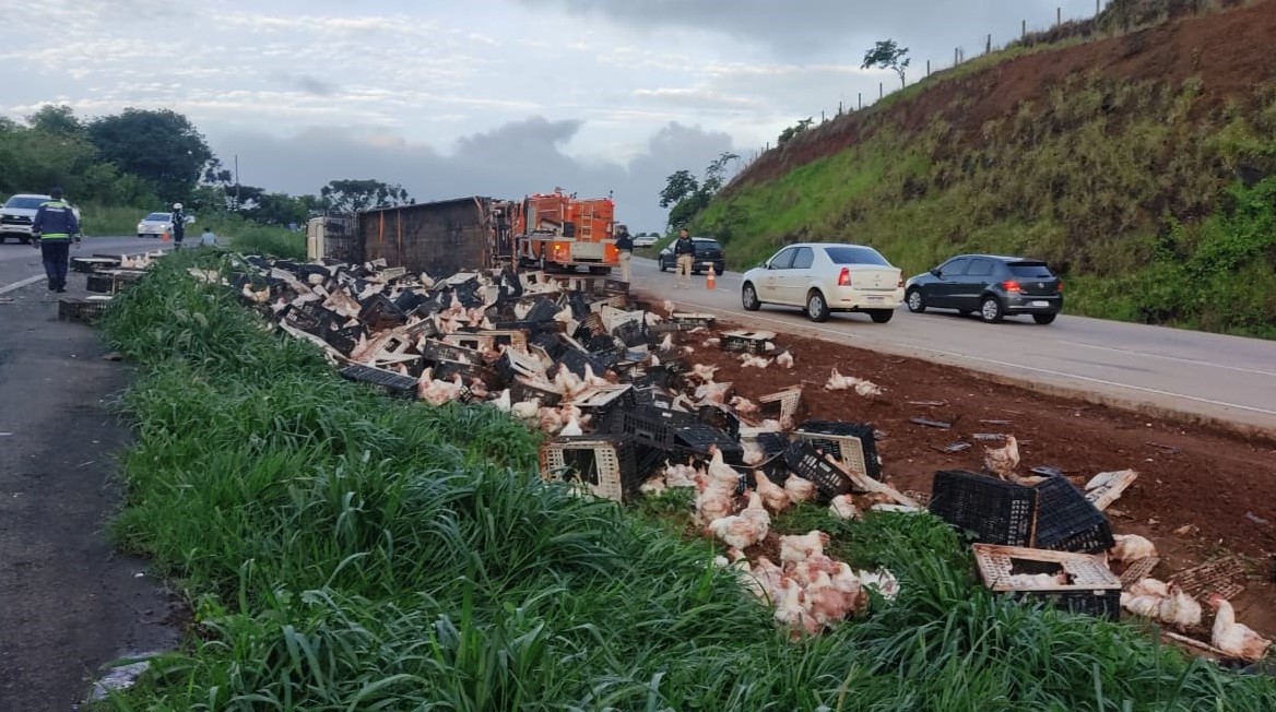 Tombamento de caminhão na BR-163 deixa carga de galinhas espalhada