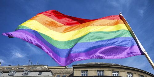 Governo lança programa para proteger pessoas LGBTQIA+ em áreas rurais Imagem referente a Governo lança programa para proteger pessoas LGBTQIA+ em áreas rurais