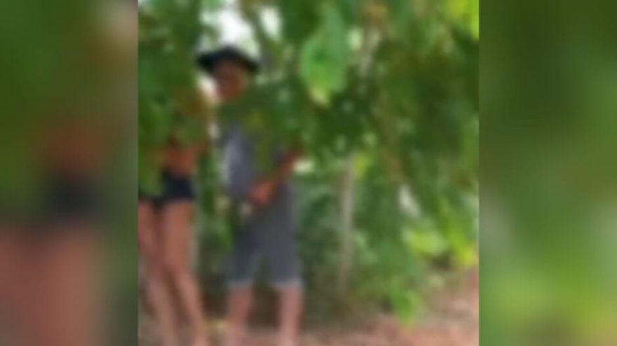 “Segura peão”: ciclista surpreende “tiozão” e travesti em relação sexual na sombra de árvore