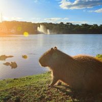 Imagem referente a Quinta-feira de tempo estável e calor em Cascavel e região