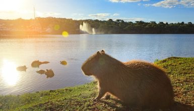 Imagem referente a Quinta-feira de tempo estável e calor em Cascavel e região