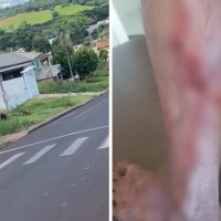 Imagem referente a Pedestre busca refúgio em ambulância após ataque de pitbulls agitados