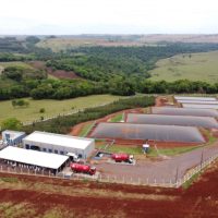 Imagem referente a Paraná vai isentar de ICMS biogás, biometano e combustível sustentável de avião