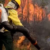 Imagem referente a Caminhos da Reportagem conquista Prêmio ARI Banrisul de Jornalismo