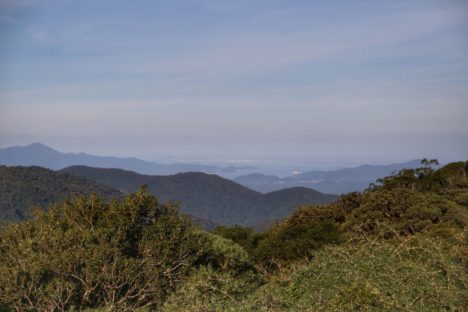 Imagem referente a Governador sanciona lei que moderniza licenciamentos ambientais no Paraná