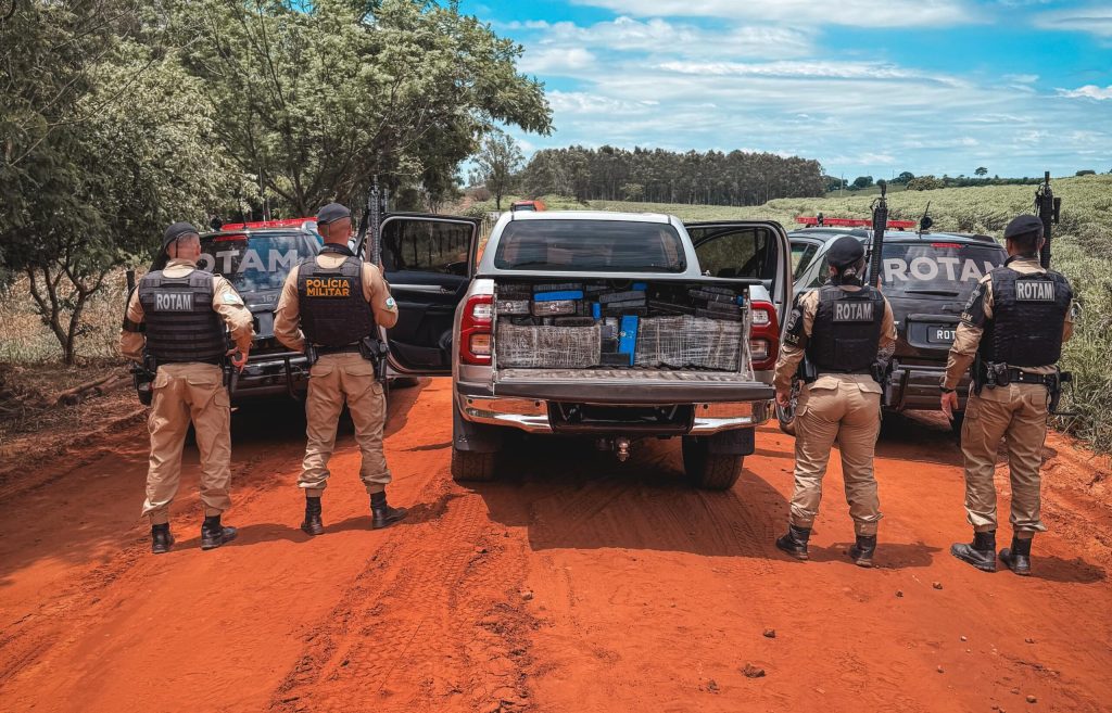 Carga de maconha avaliada em mais de R$ 2 milhões é apreendida pela Rotam em Cruzeiro do Oeste