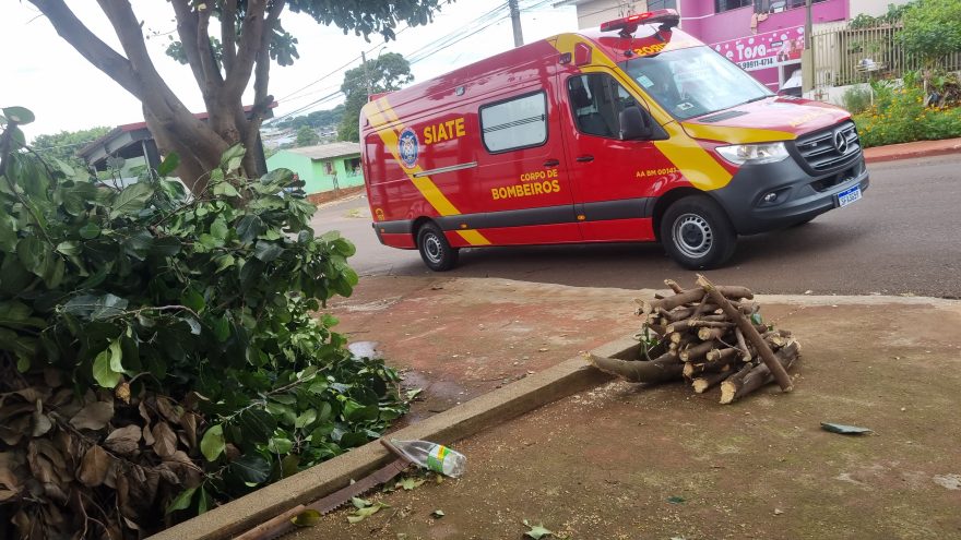 Podando árvore, homem cai e é socorrido pelo Siate no Brasmadeira