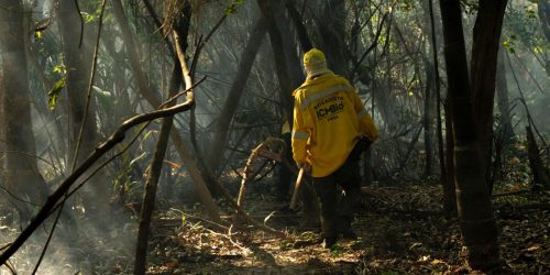 Imagem referente a Amazônia tem o maior número de queimadas e incêndios em 17 anos