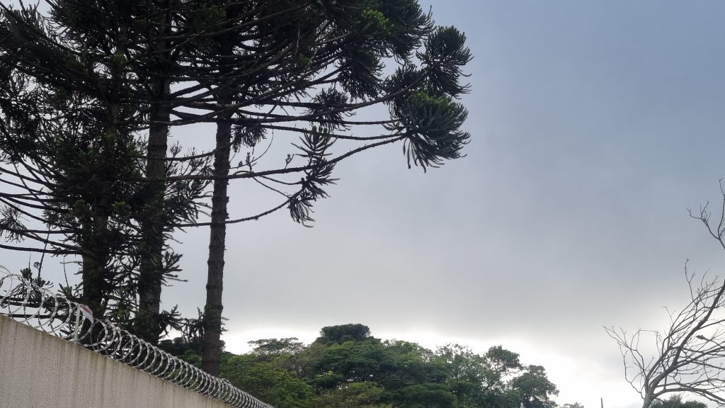 Não há previsão de chuva para este domingo (15) em Cascavel