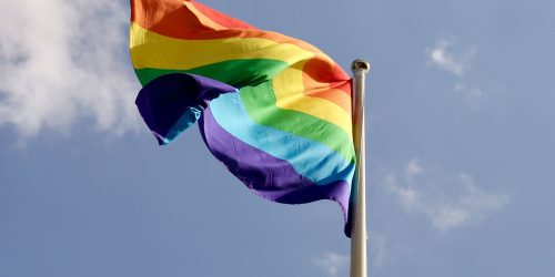 Imagem referente a Em 2024, 60% dos projetos de lei sobre LGBT eram a favor da comunidade